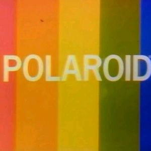 Meet your Posher, Elise